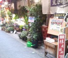 幸村ロード３