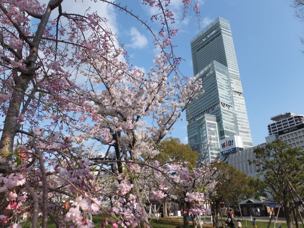 桜天王寺