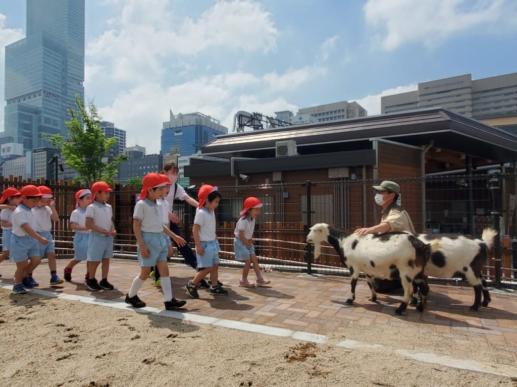 天王寺動物園ふれんどしっぷガーデン