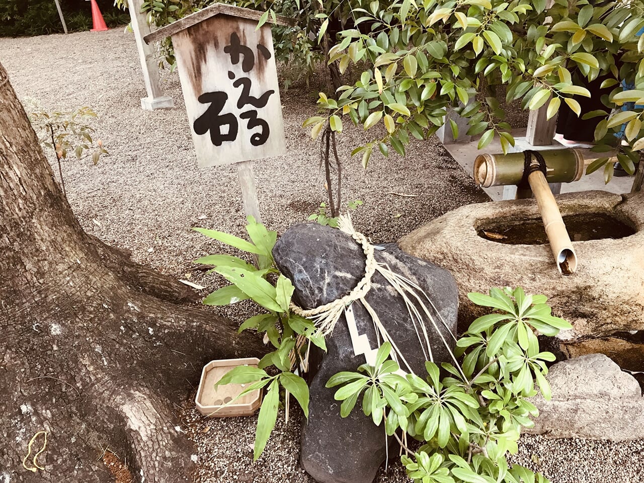 堀越神社の蛙祭